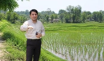 حضور محققان موسسه تحقیقات برنج کشور در شفت برای بررسی طغیان بی‌سابقه جمعیت نوعی قورباغه درختی