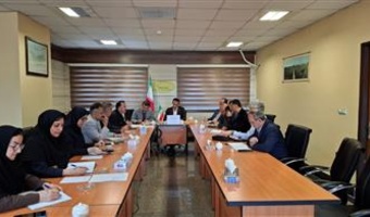 چهارمین نشست شورای مدیران مؤسسه تحقیقات برنج کشور در آمل برگزار شد