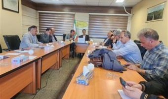 صیانت از ذخایر ژنتیکی تا حضور در مزارع الگویی؛ نقشه راه محققان برنج کشور در فصل زراعی جدید ترسیم شد