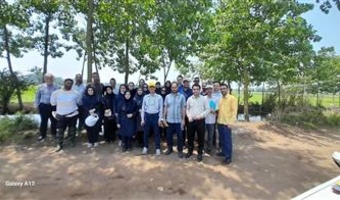 برگزاری مدرسه در مزرعه با محوریت مدیریت تغذیه و کنترل آفات در مزارع برنج
