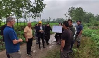 از کمبود فسفر تا بیماری بلاست؛ بررسی چالش‌های شالیزارهای لاهیجان توسط متخصصان مؤسسه تحقیقات برنج