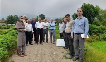 برگزاری کارگاه آموزشی مدیریت بیماری‌های مهم برنج در شالیزارهای شهرستان ماسال