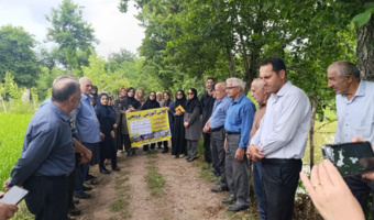 پیوند پژوهش و تولید در انتقال آخرین یافته‌های مدیریت شالیزار در مزارع الگویی برنج شهرستان سیاهکل