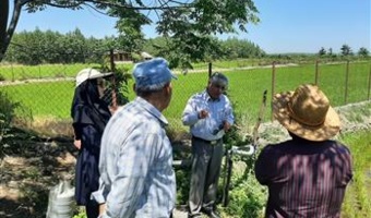 مصرف آگاهانه علف‌کش‌ها؛ گامی مهم در حفظ پایداری تولید برنج