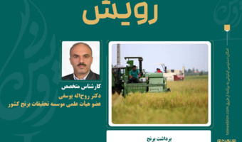 برداشت کم‌تلفات برنج با رعایت اصول فنی و تنظیم صحیح کمباین