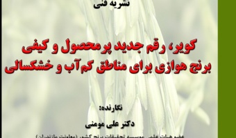چاپ نشریه‌ی شماره‌ی 124 با عنوان: کویر، رقم جدید پرمحصول و کیفی برنج هوازی برای مناطق کم آب و خشکسالی