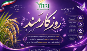 تبریک روز کارمند