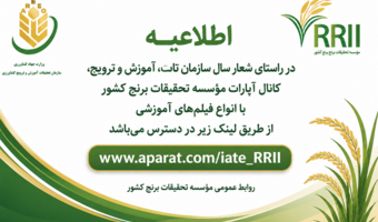کانال آپارت موسسه تحقیقات برنج کشور