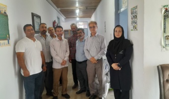 توسعه کشت دوم در شالیزارهای برنج راهکاری برای افزایش بهره‌وری و تقویت اقتصاد روستایی