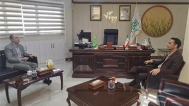 نشست هم‌اندیشی برای توسعه دانش‌بنیان کشت برنج و ارتقای بهره‌وری در شالیزارهای کشور برگزار شد