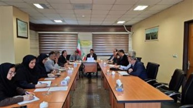 چهارمین نشست شورای مدیران مؤسسه تحقیقات برنج کشور در آمل برگزار شد