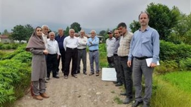 برگزاری کارگاه آموزشی مدیریت بیماری‌های مهم برنج در شالیزارهای شهرستان ماسال