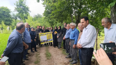 پیوند پژوهش و تولید در انتقال آخرین یافته‌های مدیریت شالیزار در مزارع الگویی برنج شهرستان سیاهکل