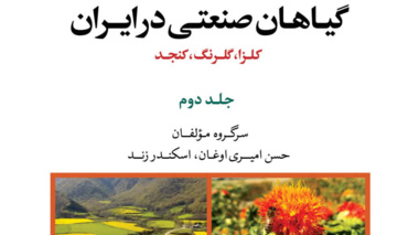 مشارکت دو پژوهشگر مؤسسه تحقیقات برنج کشور در تألیف فصل «کلزا در شالیزار» از کتاب «تولید دانش گیاهان صنعتی در ایران»