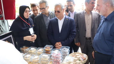 بانوان گیلان، سفیران فرهنگ و اقتصاد در روز ملی مزرعه برنج