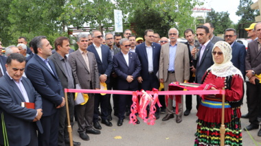 رونمایی از ۲ رقم جدید برنج «تی‌تی» و «کویر» در گیلان