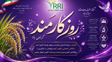 تبریک روز کارمند