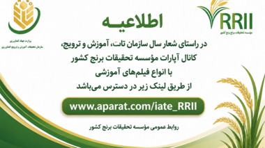 کانال آپارت موسسه تحقیقات برنج کشور