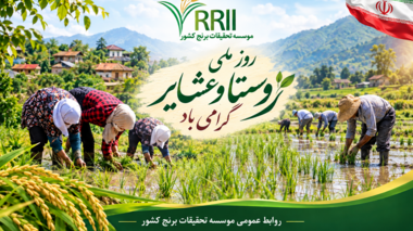 روستا بستر تولید و پشتوانه امنیت غذایی کشور