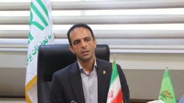 شناسایی آفت جدید برگ‌خوار در مزارع برنج گیلان