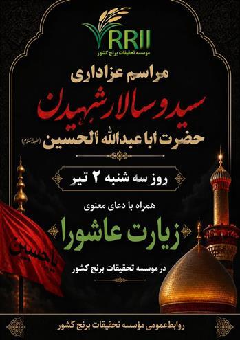 طنین زیارت عاشورا در مؤسسه تحقیقات برنج کشور همزمان با تاسوعای حسینی