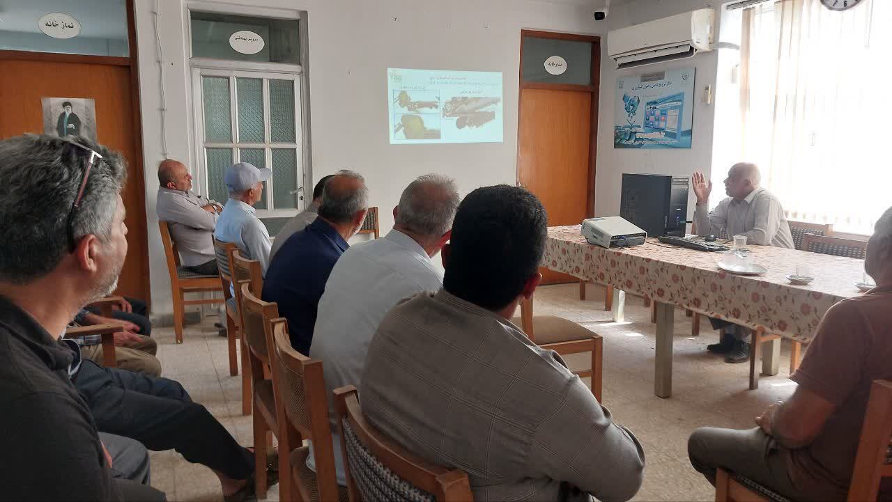 مکانیزاسیون هدفمند راهکاری برای کاهش ضایعات و افزایش بهره‌وری تولید برنج