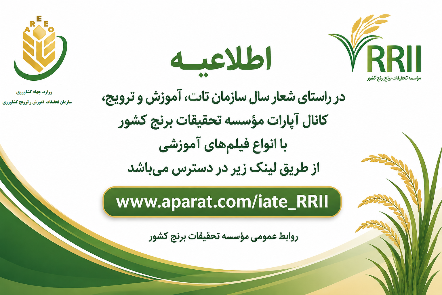 کانال آپارت موسسه تحقیقات برنج کشور