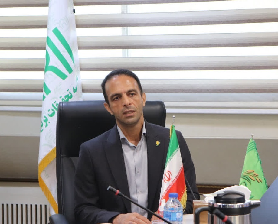 شناسایی آفت جدید برگ‌خوار در مزارع برنج گیلان