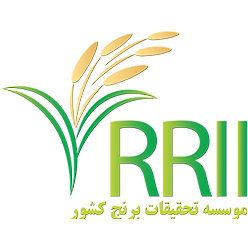 موسسه تحقیقات برنج کشور